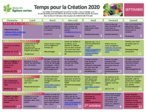 2020SEASONthumbFRa