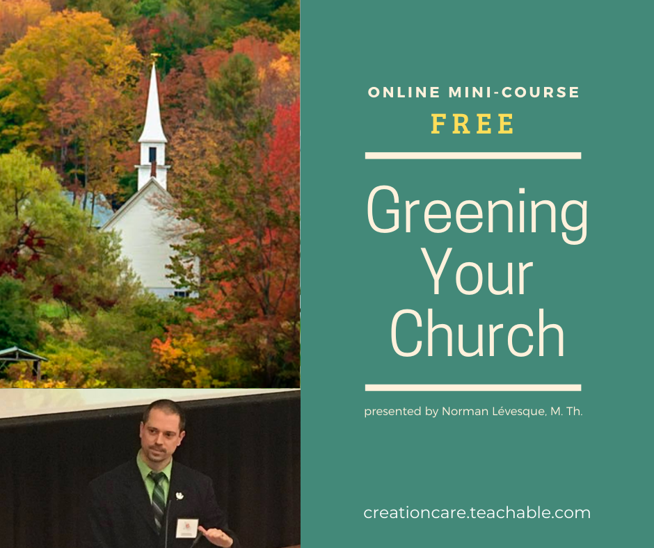 Creation care courses